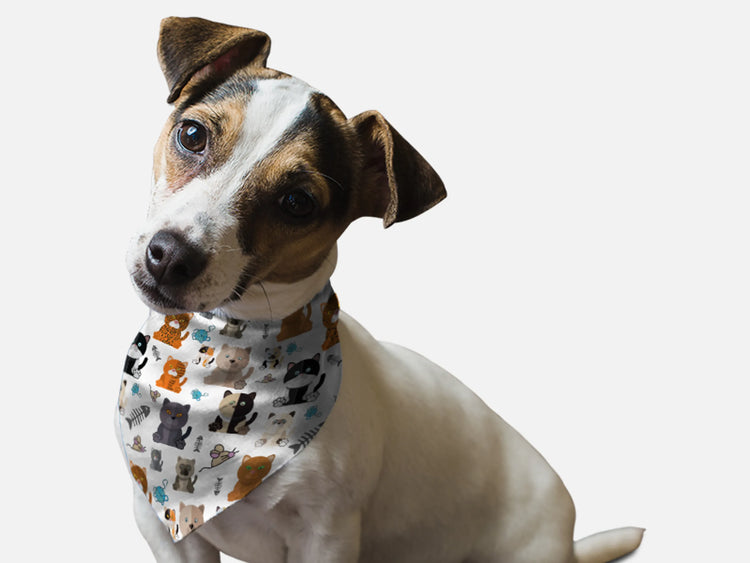 Tabby Print Dog Bandana, small size, folded view