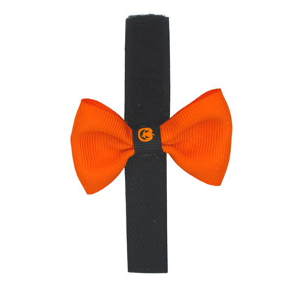 Pets Ribbons Halloween Pumpkin Velcro Dog & Cat Bows Jar