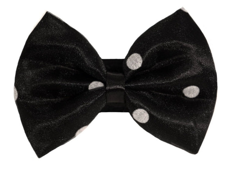 Organza satin polka dot dog bow, black, close up