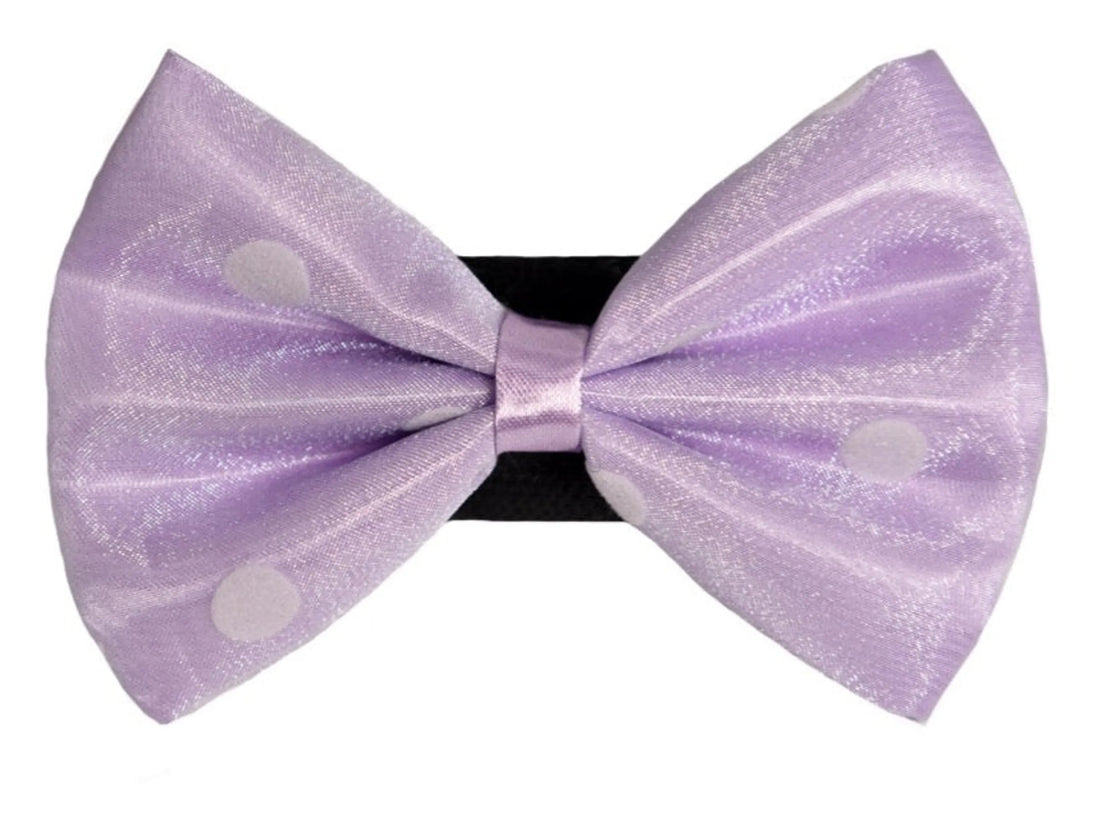 Organza satin polka dot dog bow, blue, close up