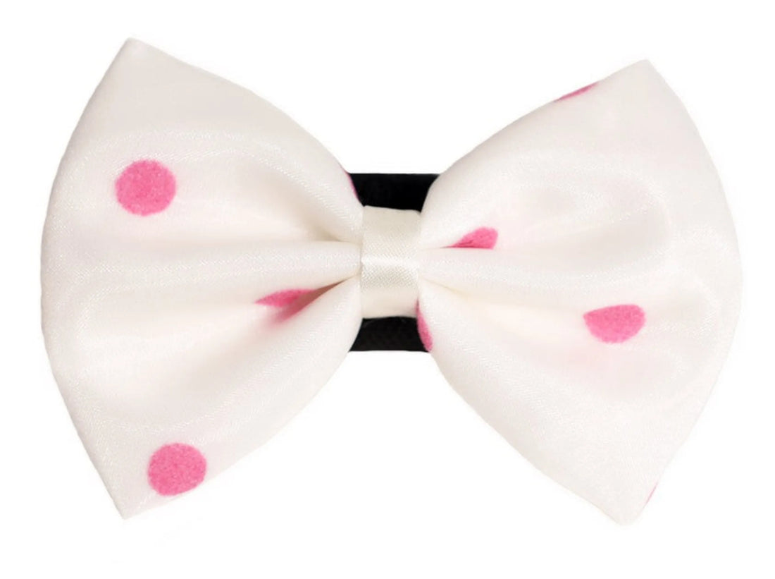 Organza satin polka dot dog bow, lavender, close up