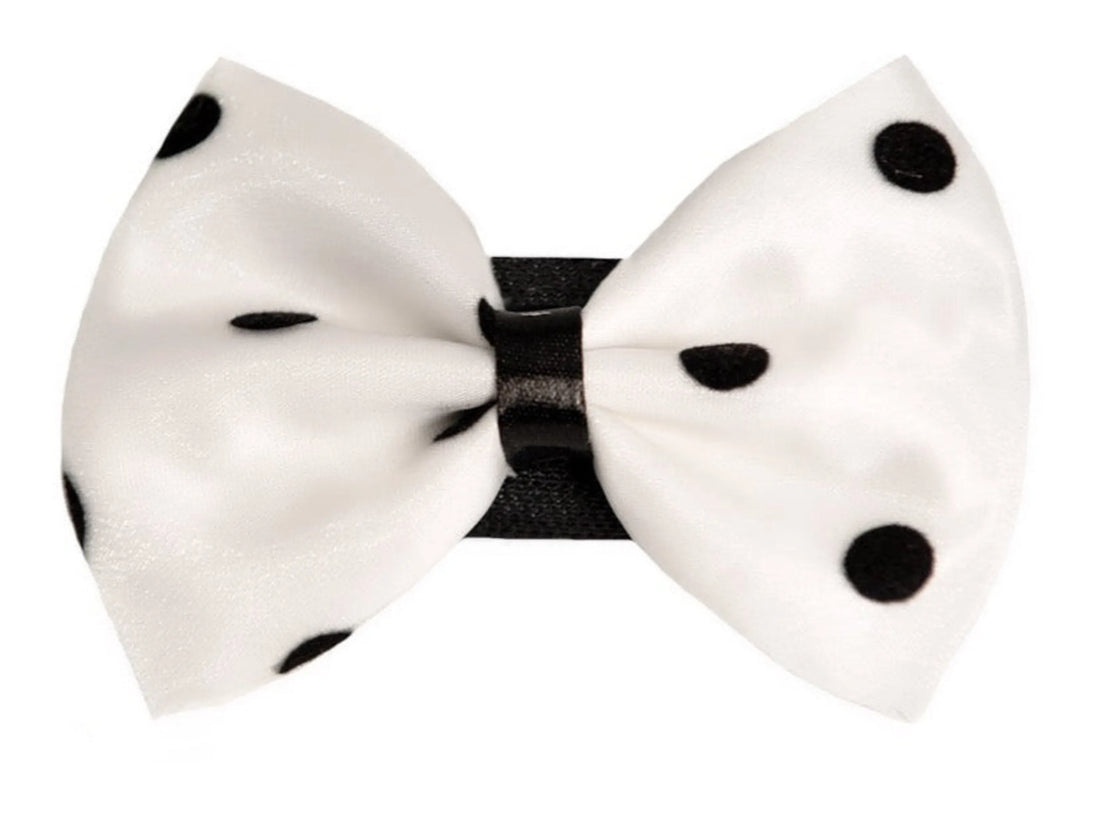 Organza satin polka dot dog bow, purple, close up