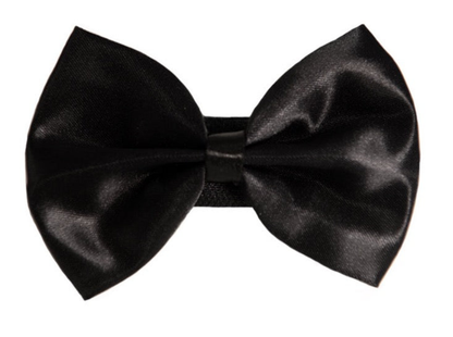 Pets Ribbons Wedding Satin Dog Bow