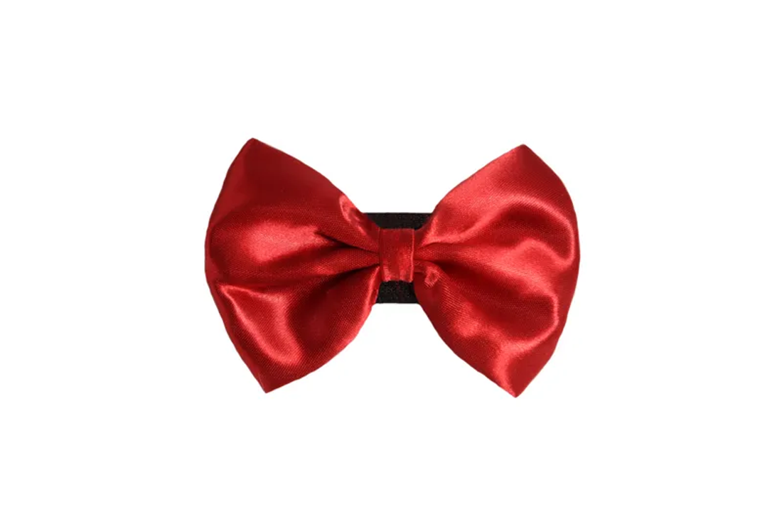 Pets Ribbons Wedding Satin Dog Bow