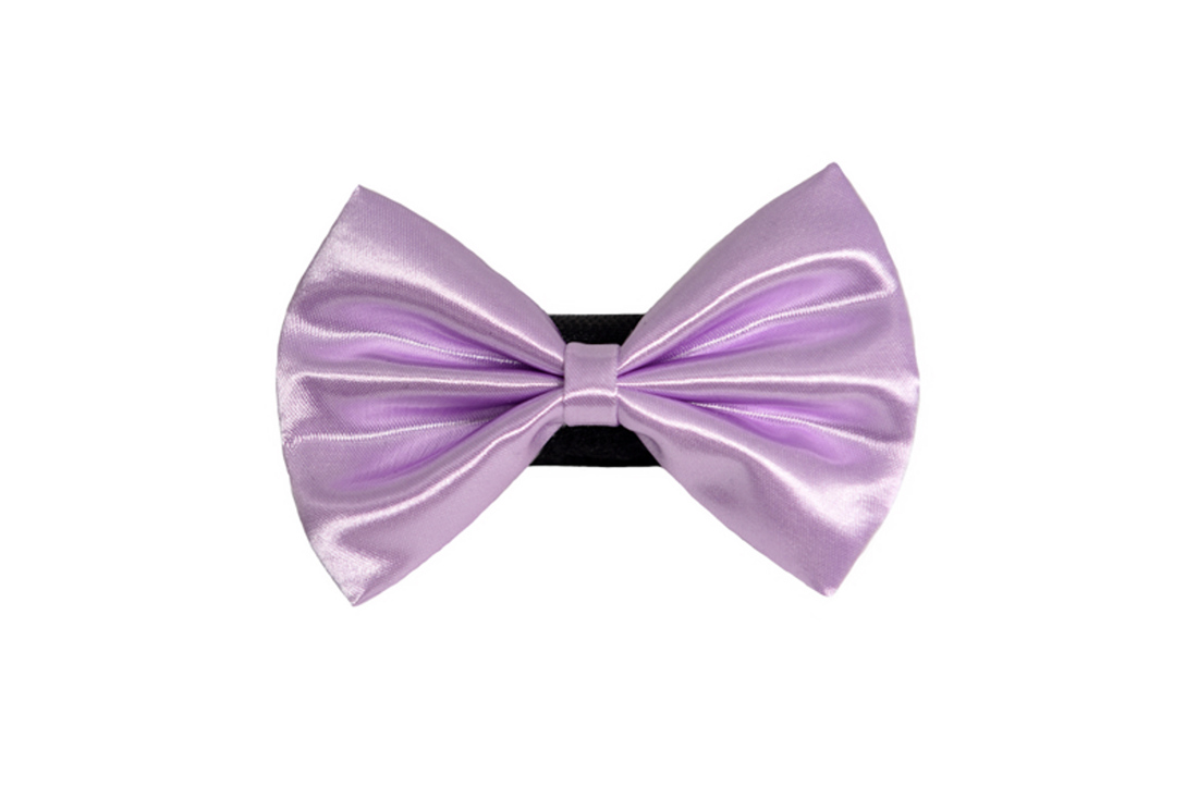 Pets Ribbons Wedding Satin Dog Bow