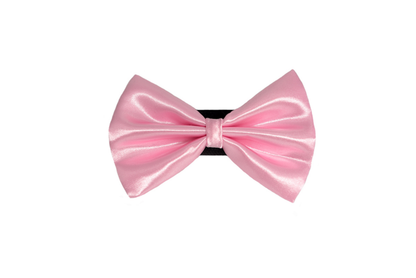 Pets Ribbons Wedding Satin Dog Bow
