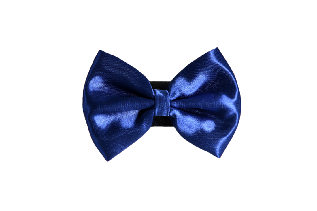 Pets Ribbons Wedding Satin Dog Bow