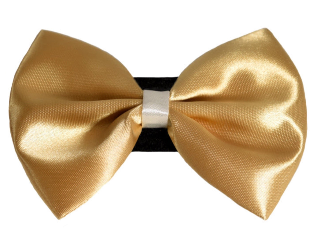 Pets Ribbons Wedding Satin Dog Bow with White Trim
