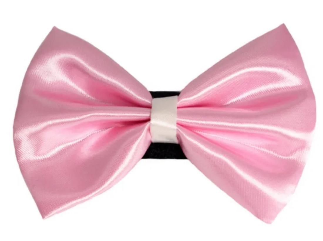 Pets Ribbons Wedding Satin Dog Bow with White Trim