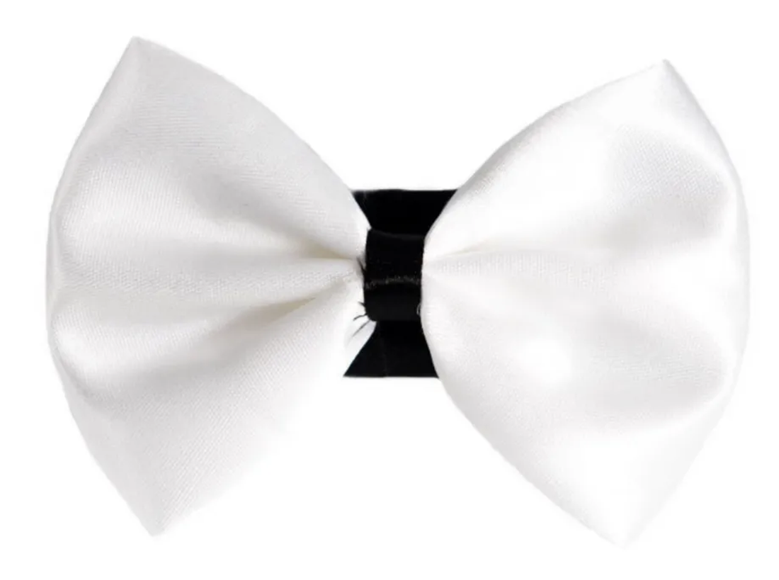 Pets Ribbons Wedding Satin Dog Bow with White Trim