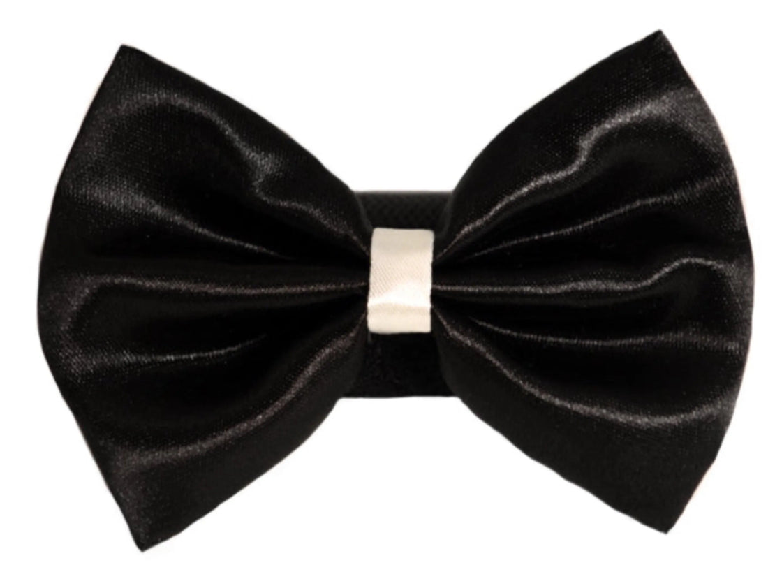 PR3001|Pets Ribbons