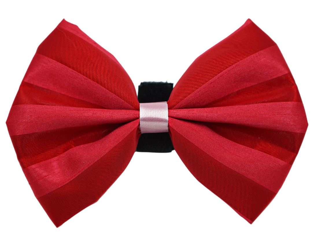 Pets Ribbons Valentine Chiffon Stripe Dog Bow
