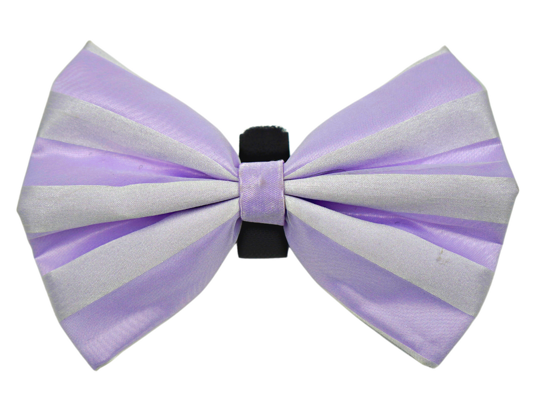 Pets Ribbons Valentine Chiffon Stripe Dog Bow