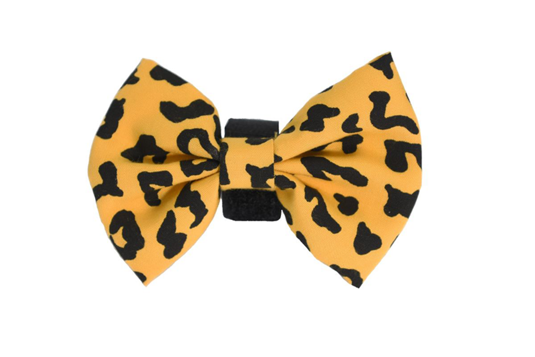Pets Ribbons Animal Print Dog Bow