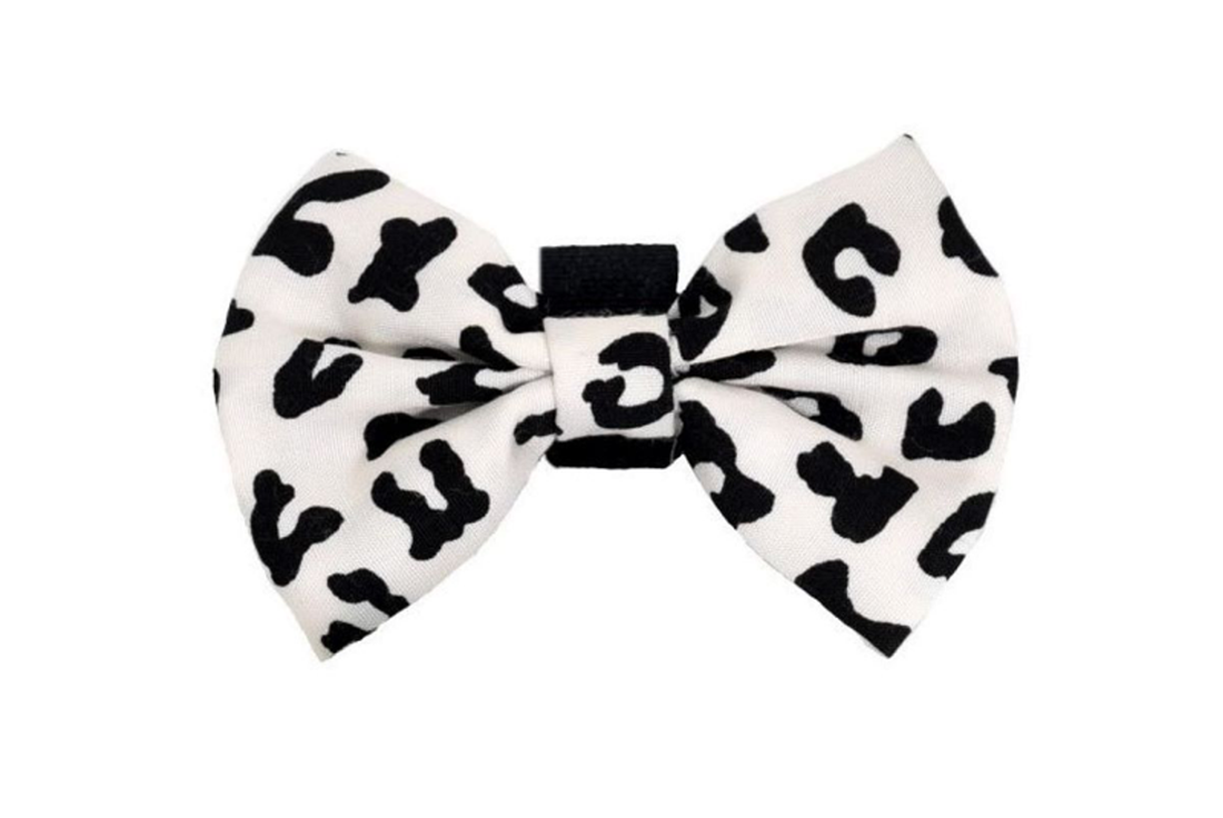Pets Ribbons Animal Print Dog Bow