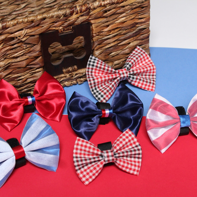 Pets Ribbons 4th of July Dog Bow Budget Bundle