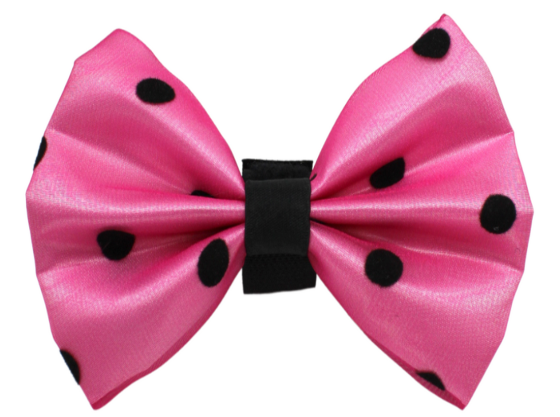 Pets Ribbons Organza Polka Dot Dog Bow