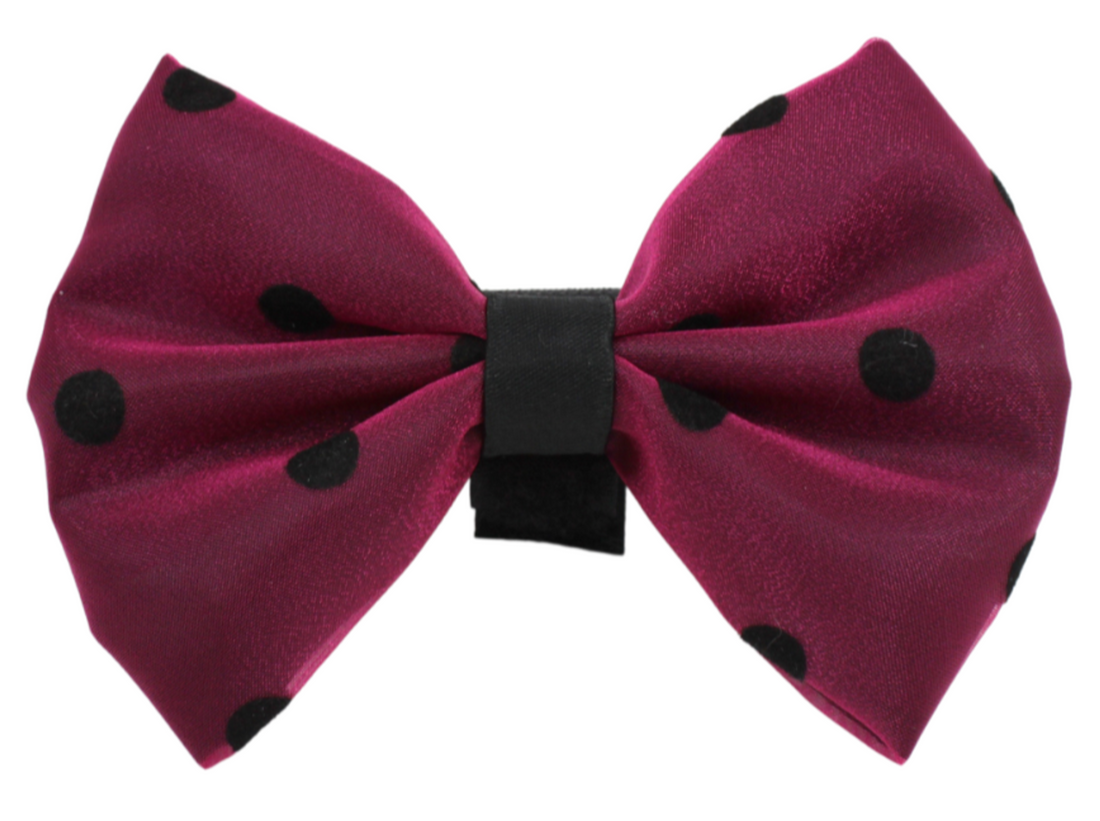 Pets Ribbons Organza Polka Dot Dog Bow