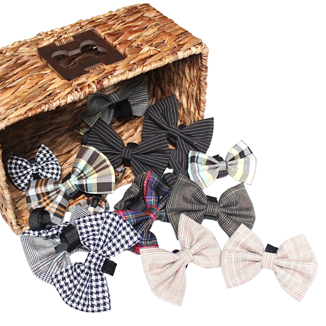 Pets Ribbons Boys Bow Tie Budget Bundle