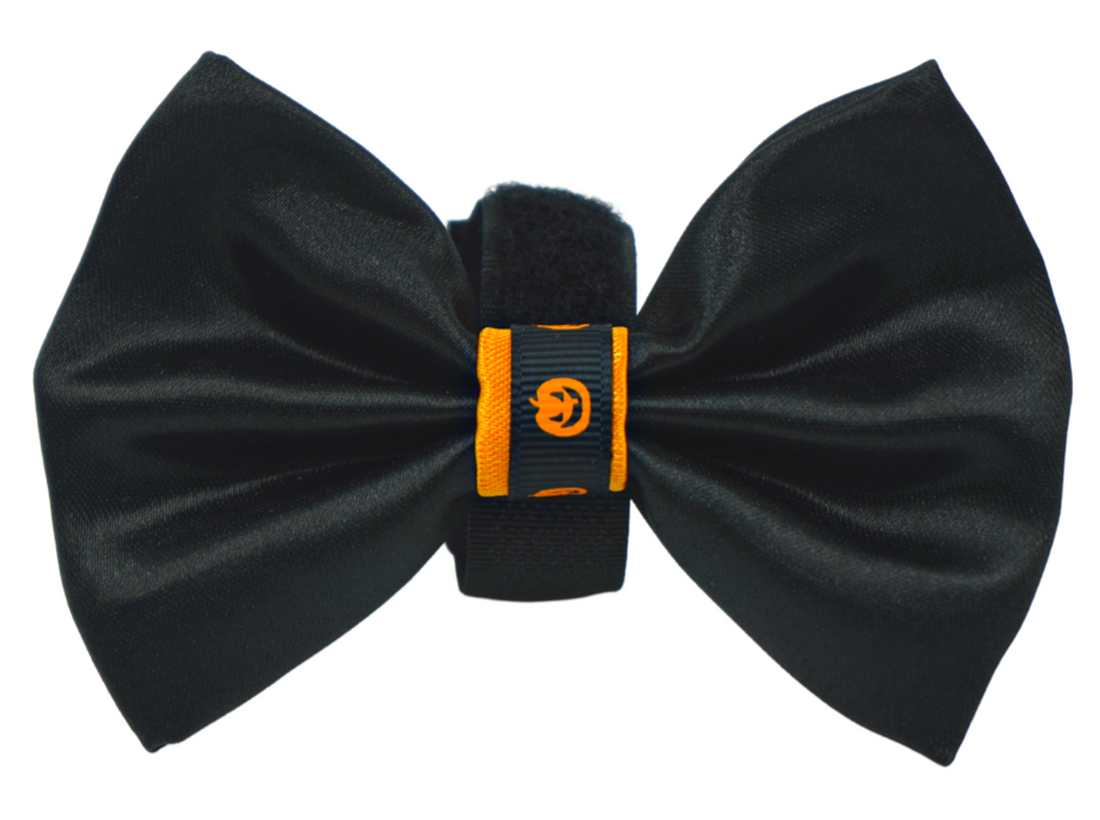 Pets Ribbons Halloween Satin Dog Bow with Pumpkin Trim