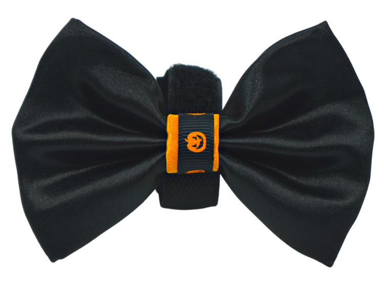 Pets Ribbons Halloween Satin Dog Bow with Pumpkin Trim