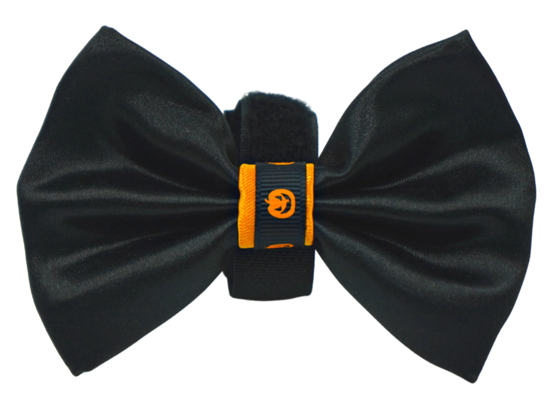 Satin Halloween dog bow with pumpkin trim, velcro fastener detail