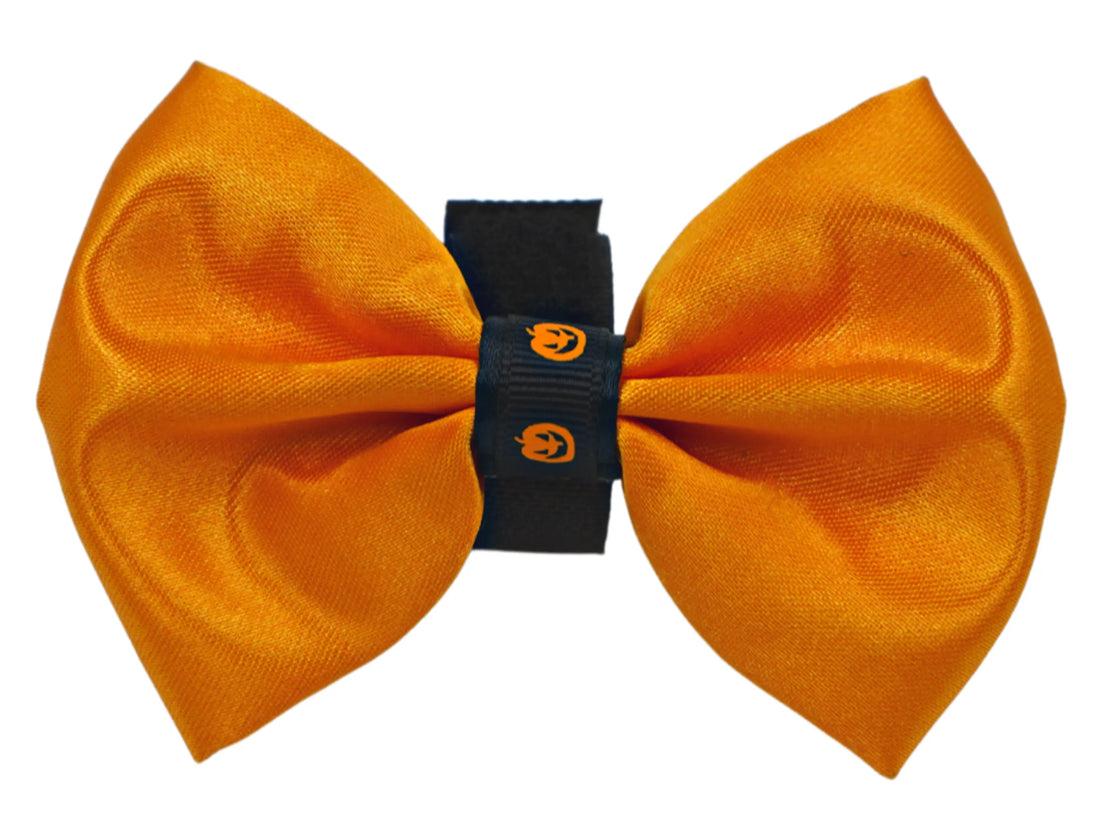 Satin Halloween dog bow with pumpkin trim, size 2, close-up