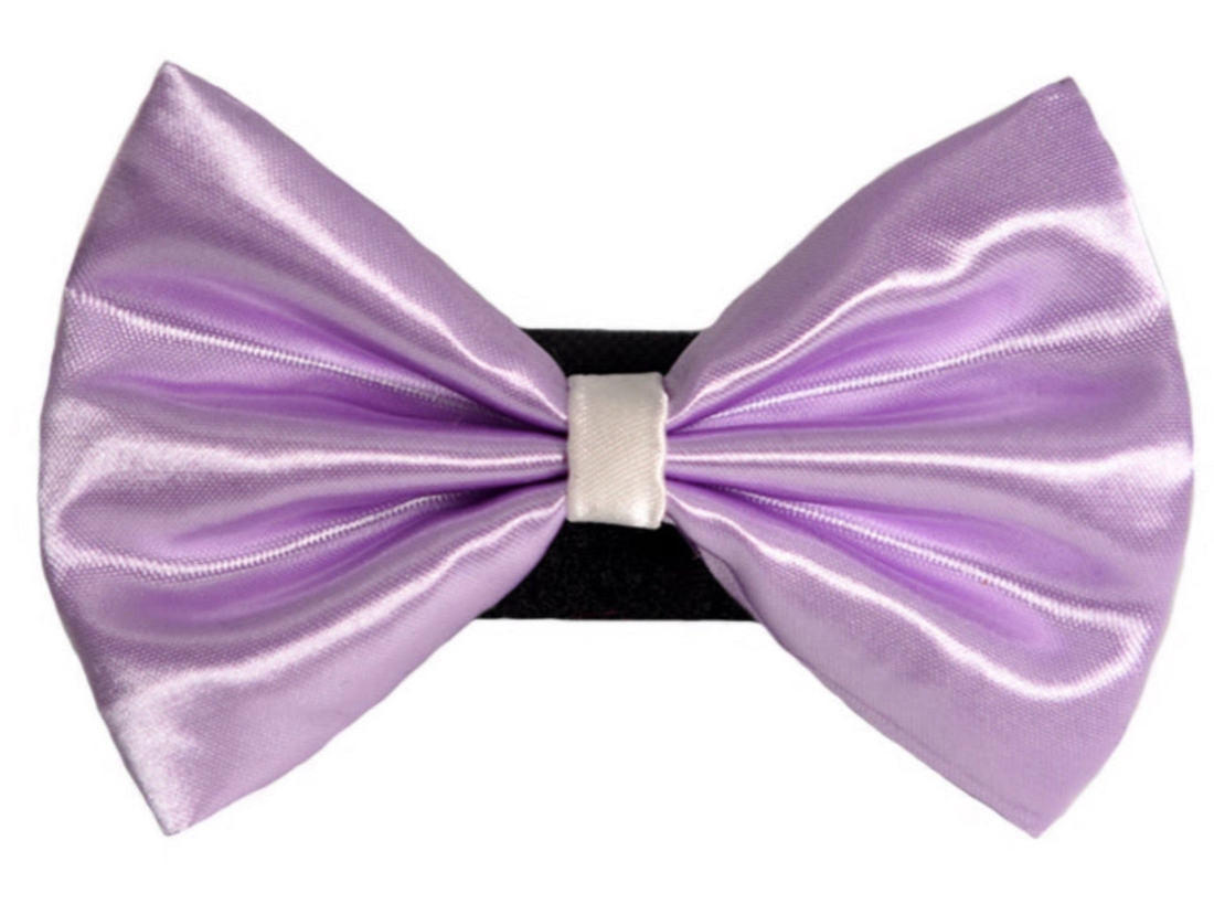 Pets Ribbons Wedding Satin Dog Bow with White Trim