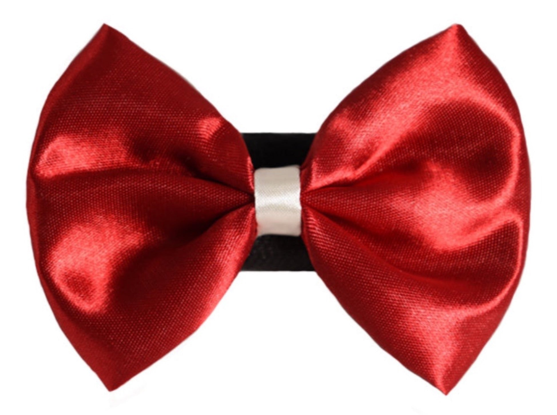 Pets Ribbons Wedding Satin Dog Bow with White Trim