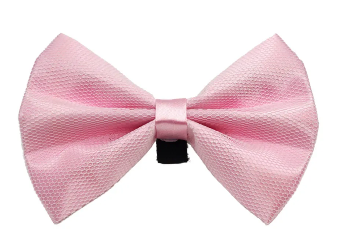 Pets Ribbons Satin Dog Bow with White Net Overlay