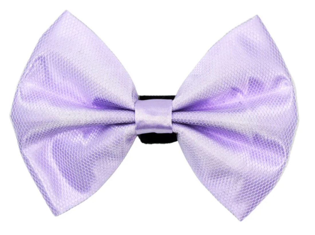 Pets Ribbons Satin Dog Bow with White Net Overlay
