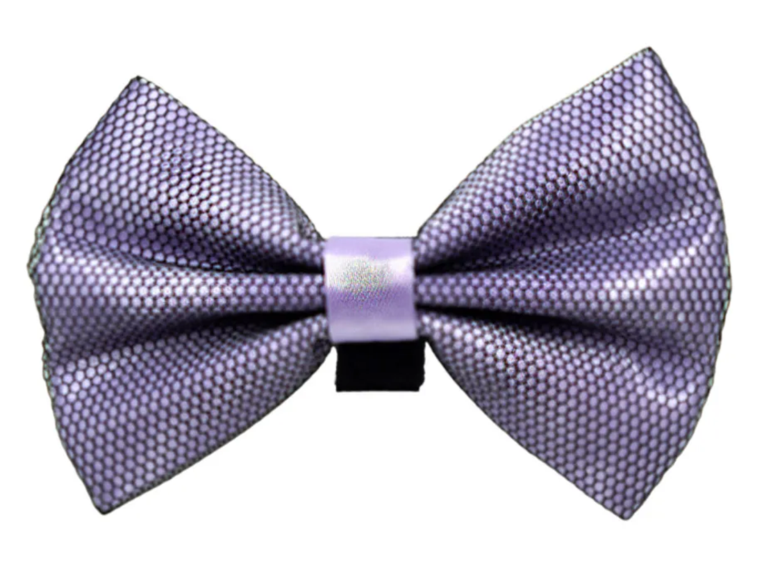 Pets Ribbons Satin Dog Bow with Black Net Overlay