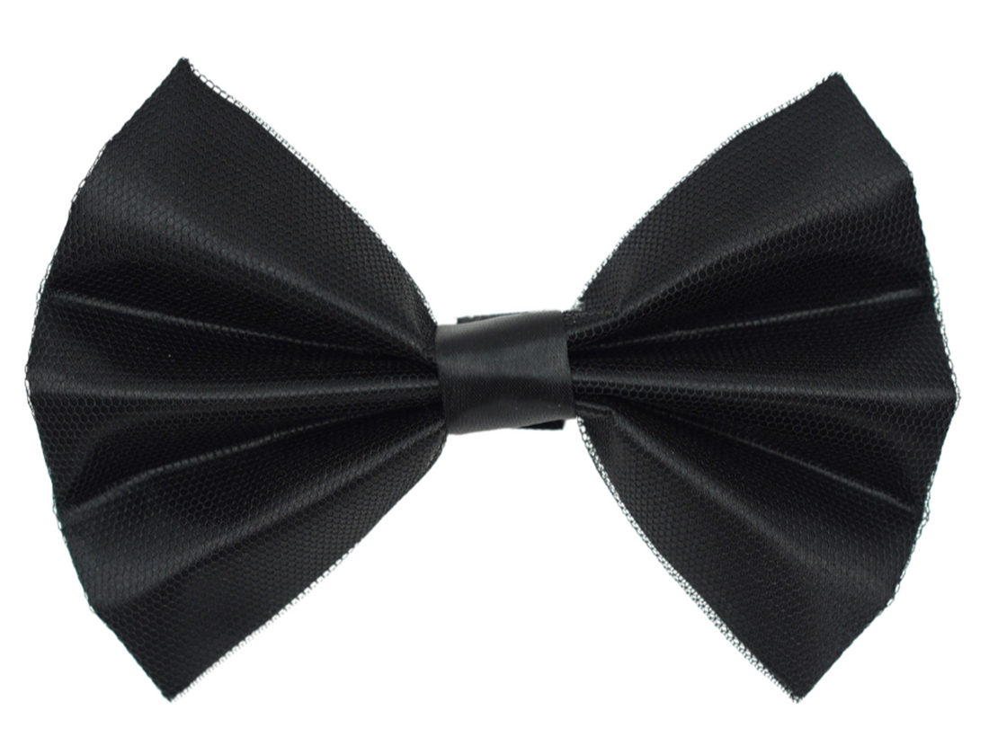 Pets Ribbons Satin Dog Bow with Black Net Overlay