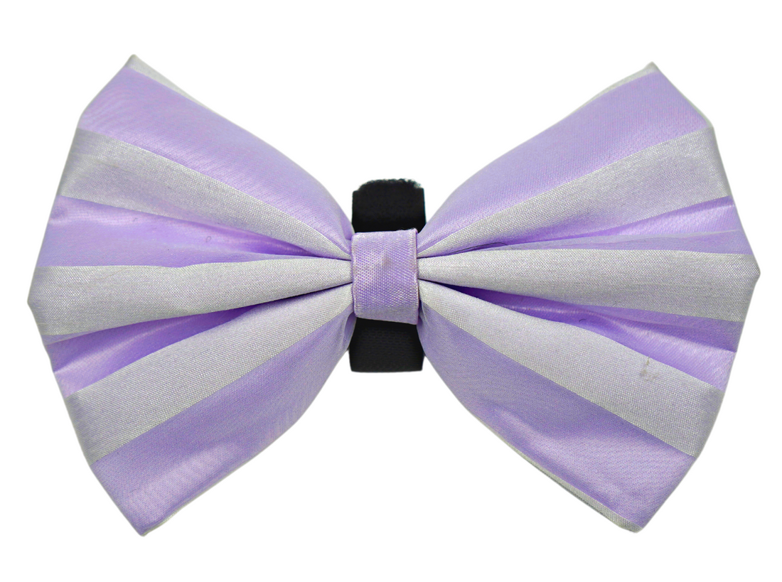 Pets Ribbons Satin Dog Bow with Chiffon Overlay
