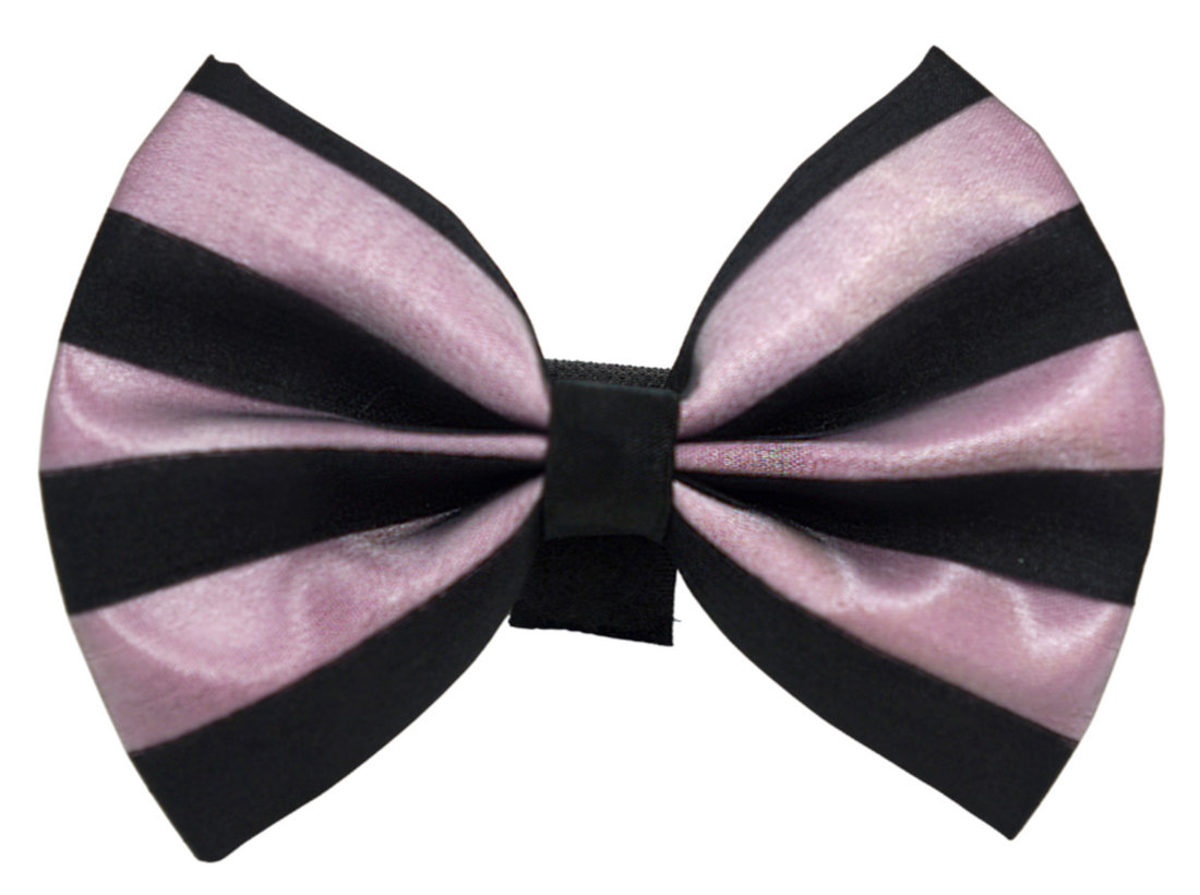 Pets Ribbons Satin Dog Bow with Chiffon Overlay
