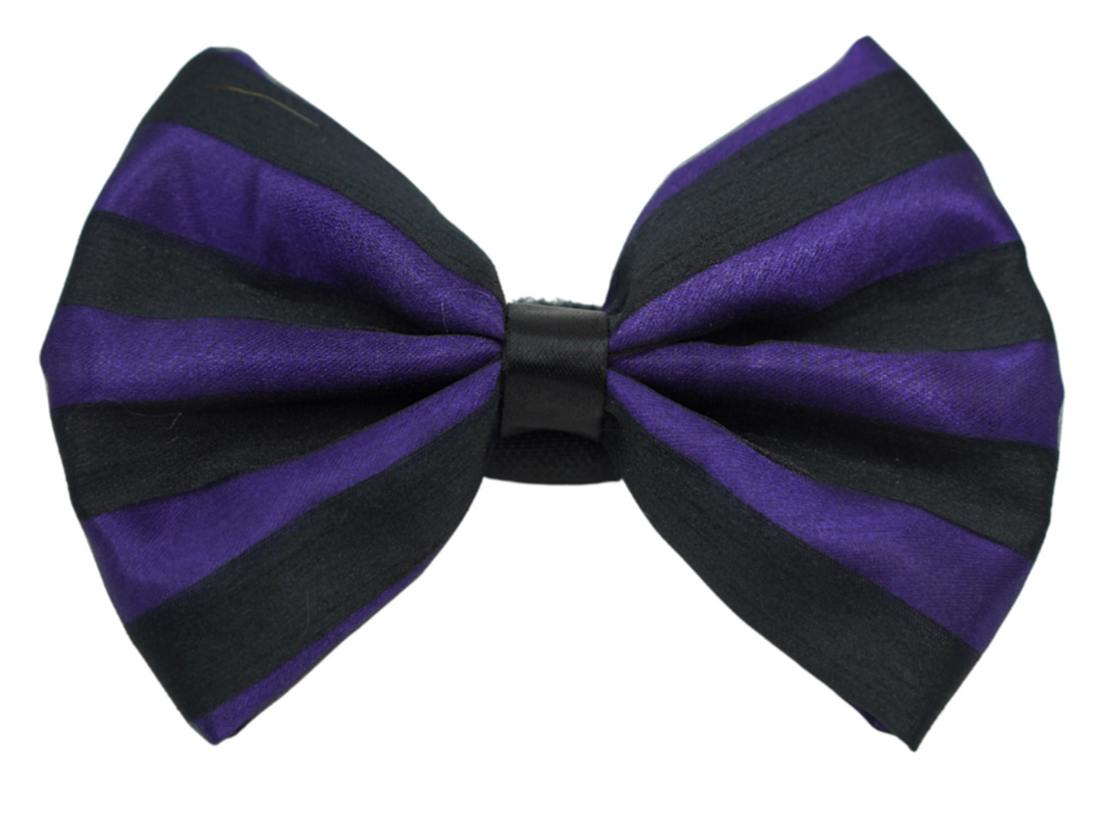Pets Ribbons Satin Dog Bow with Chiffon Overlay