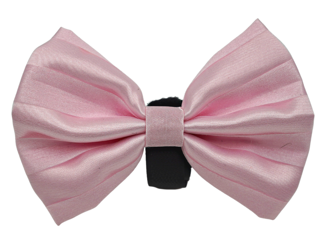 Pets Ribbons Satin Dog Bow with Chiffon Overlay