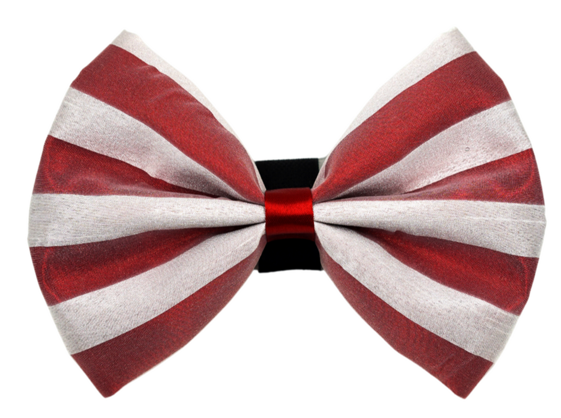 Pets Ribbons Satin Dog Bow with Chiffon Overlay