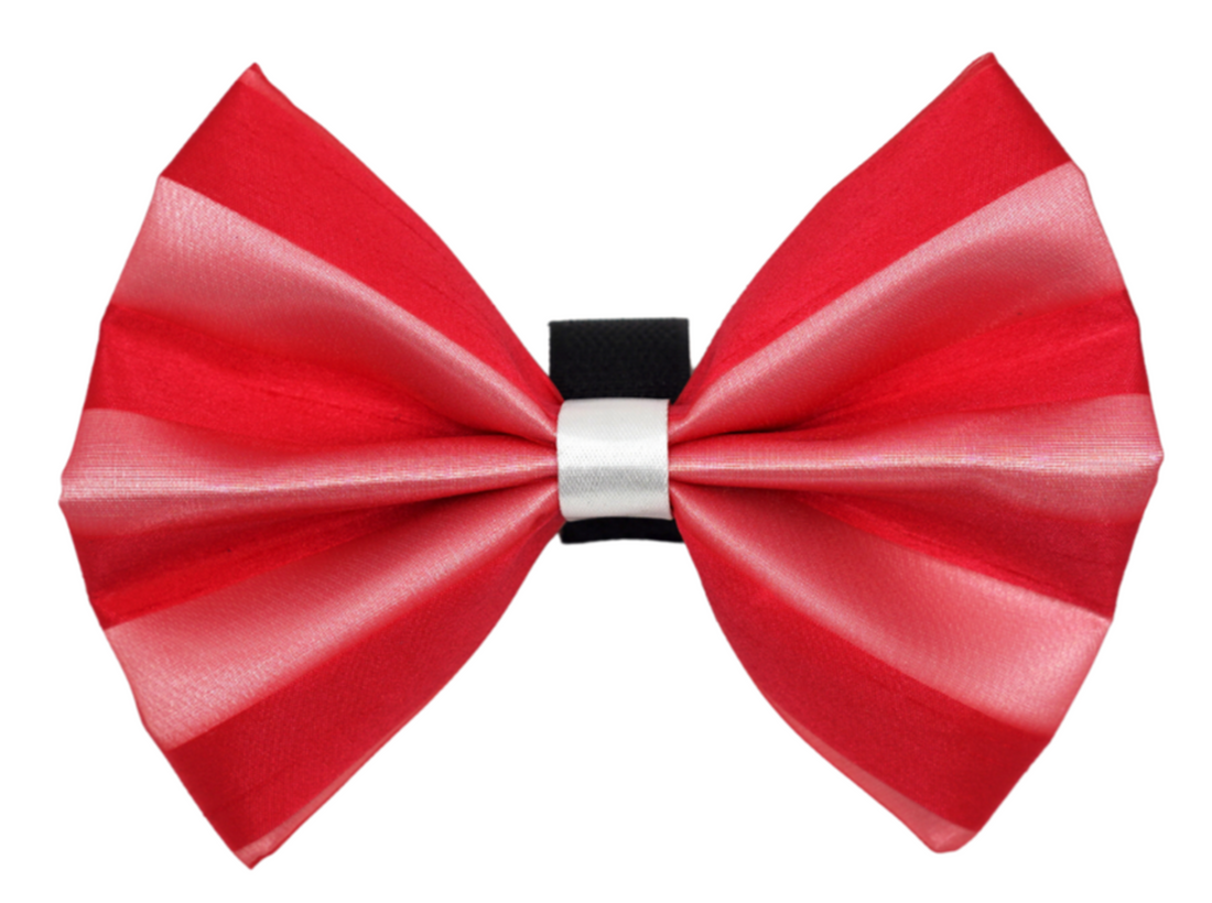 Pets Ribbons Satin Dog Bow with Chiffon Overlay