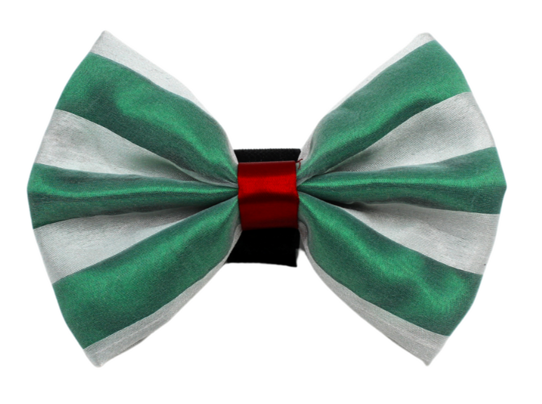 Pets Ribbons Satin Dog Bow with Chiffon Overlay