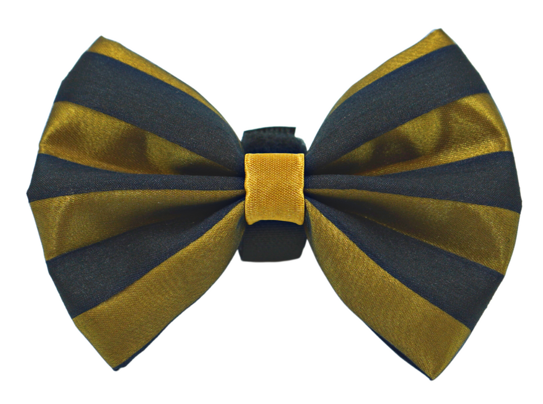 Pets Ribbons Satin Dog Bow with Chiffon Overlay