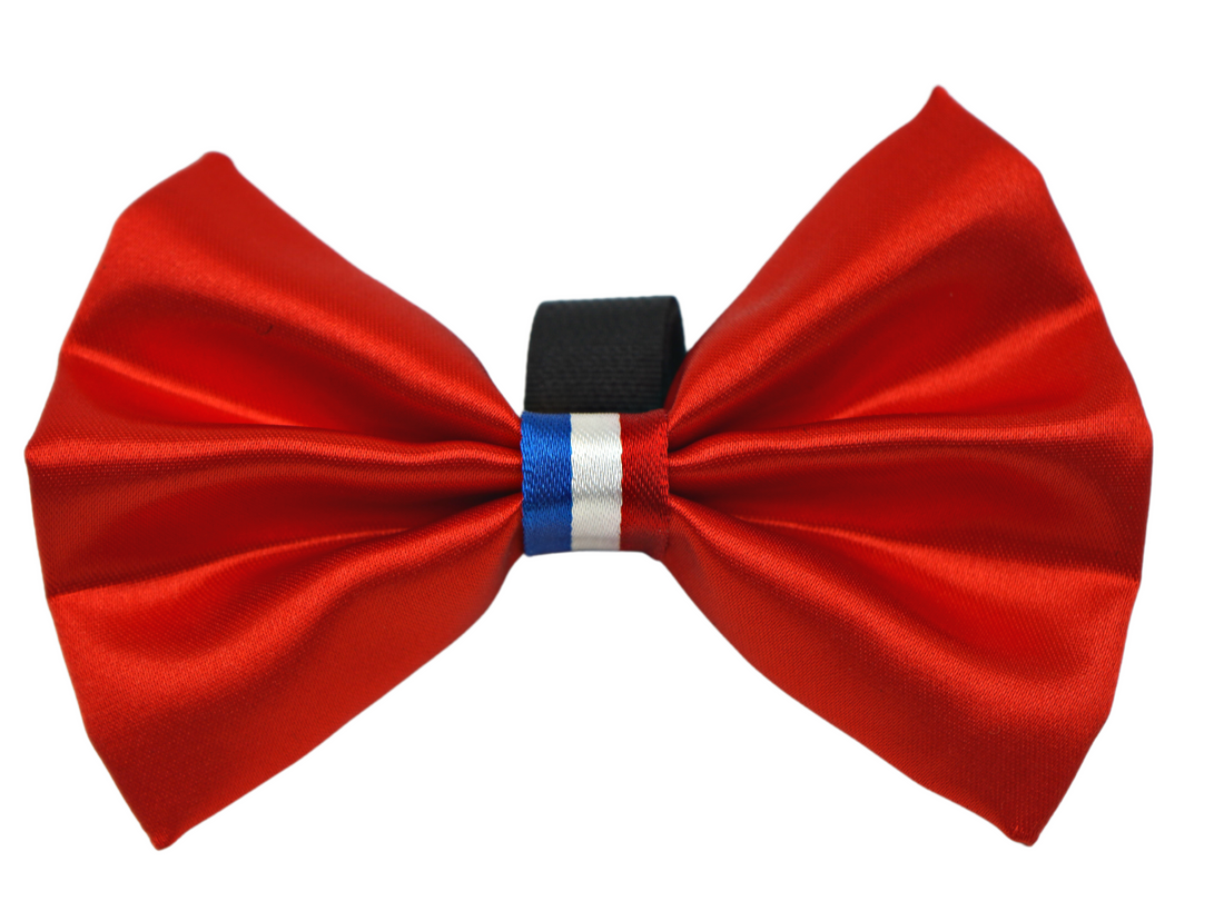 Pets Ribbons Americano Wedding Satin Dog Bow