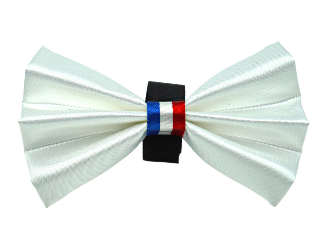Pets Ribbons Americano Wedding Satin Dog Bow