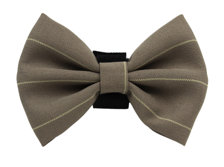 Pets Ribbons Vintage Stripe Dog Bow Tie