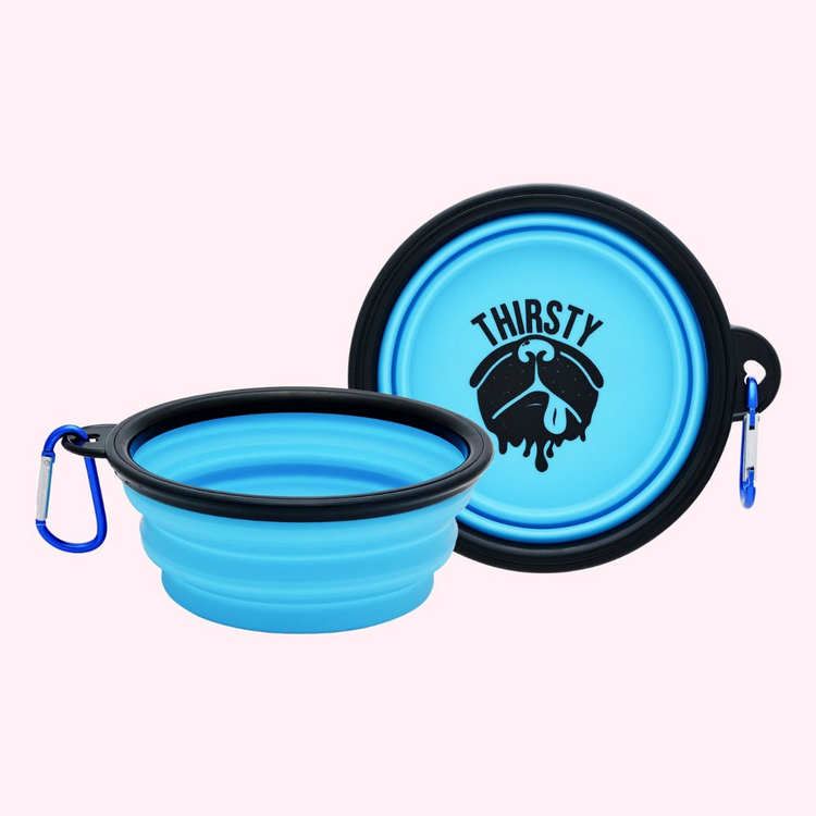 "Thirsty" Collapsible Dog Bowl - Blue