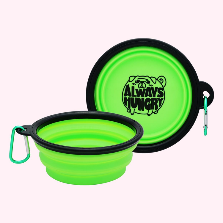 "Always Hungry" Collapsible Dog Bowl - Green