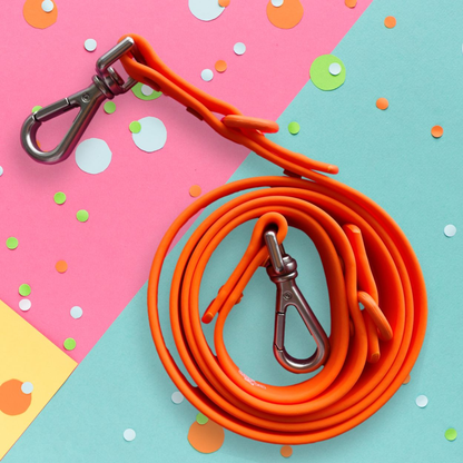 "Warning Sloppy Kisser" Orange Silicone Dog Leash