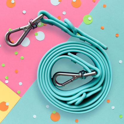 "Bark Bark Bitch" Aqua Silicone Dog Leash