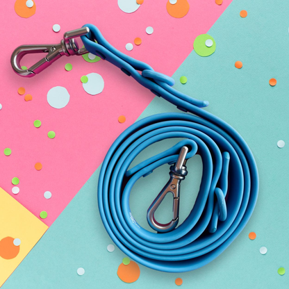 "Pet Me or I'll Bite You" Blue Silicone Dog Leash