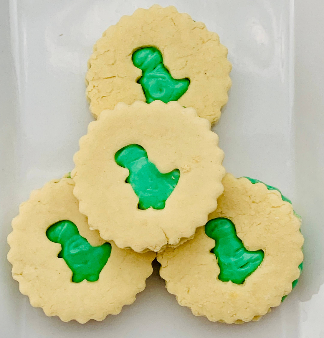Dino Oreo — Dog Treats (Case of 12)